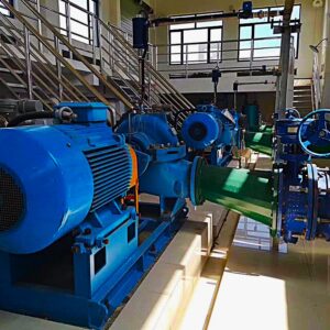 NSC-water plant china - Copy